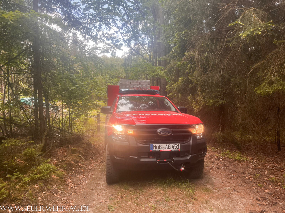 Wald- und Vegetationsbrand in Martinlamitz