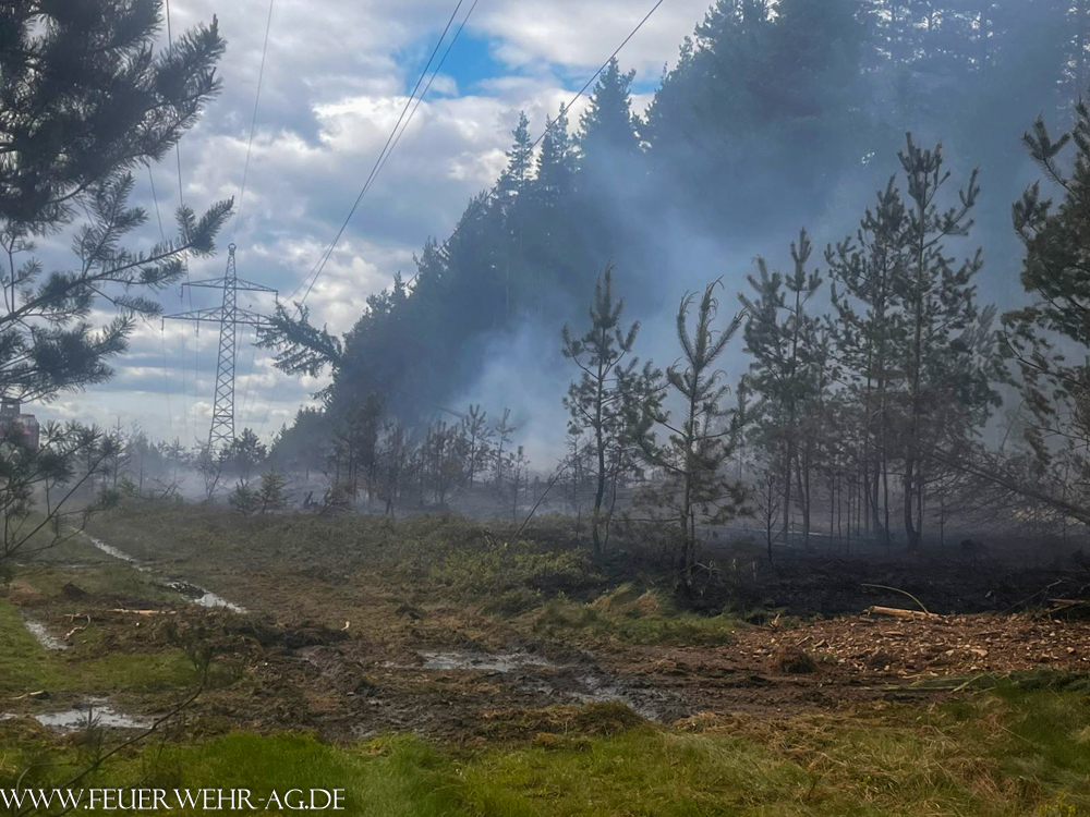 Wald- und Vegetationsbrand in Martinlamitz