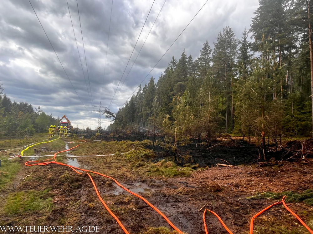 Wald- und Vegetationsbrand in Martinlamitz
