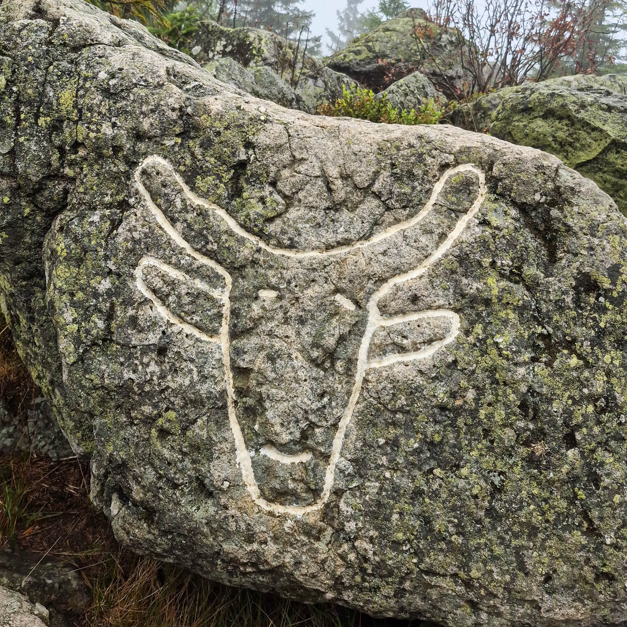 Feuerwehrausflug 2025